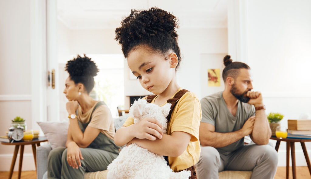 Family Disputes in Arbitration, Mediation, and Negotiation: A U.S. Perspective